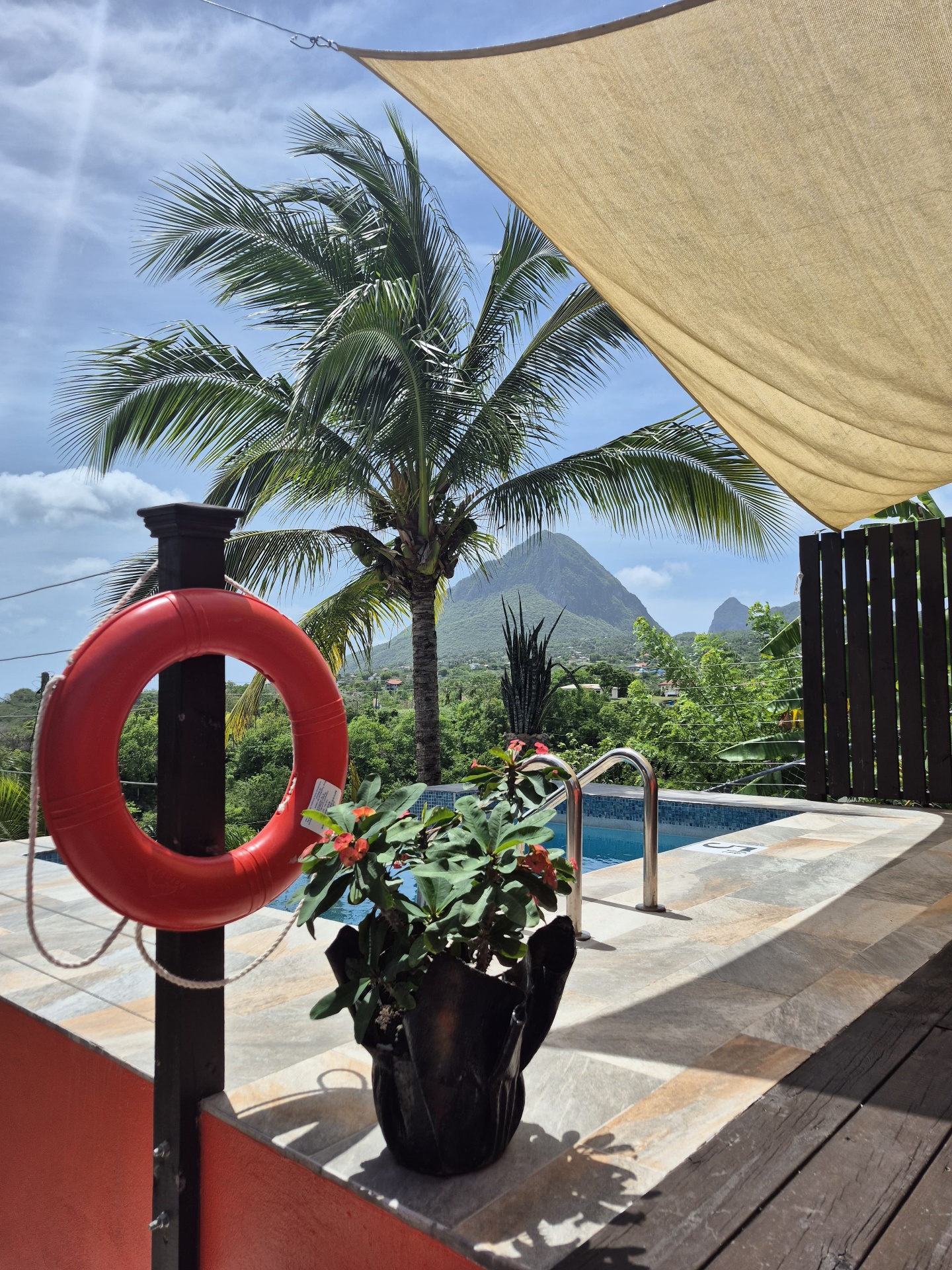 Private pool with palm trees and Piton views at Southern Sunset Villa